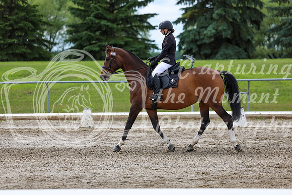 2025 - Dressage Festival - Sunday July 6th - 14420