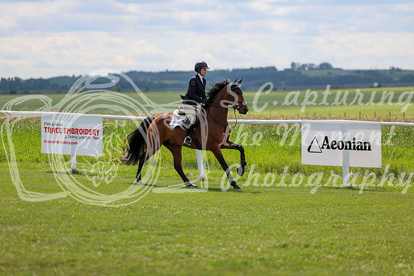 2025 - Shea - Teesdale - Friday July 25th - 05511