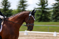 2025 - Dressage Festival - Saturday July 5th - 08464