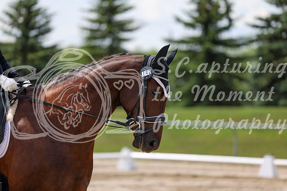 2025 - Dressage Festival - Saturday July 5th - 08464