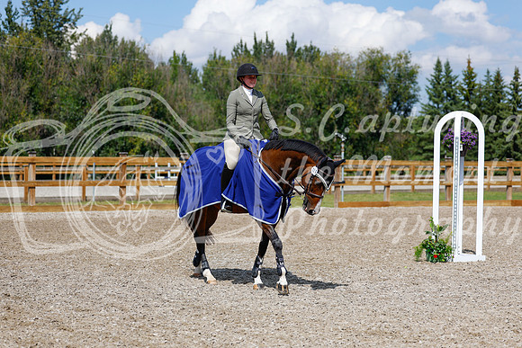 2025 - Haylee - Picco Horse Show - Sunday July 27th 05527