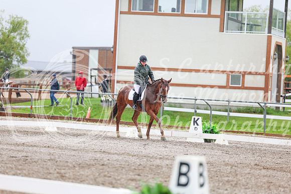 2025 - Dressage Festival - Sunday July 6th - 03626