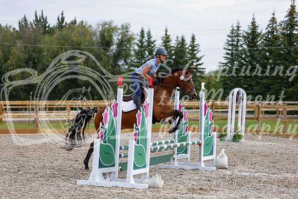 2025 - Haylee - Picco Horse Show - Saturday July 26th 03012