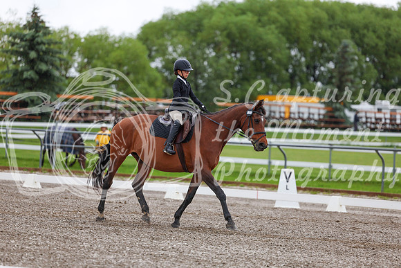 2025 - Dressage Festival - Sunday July 6th - 01818