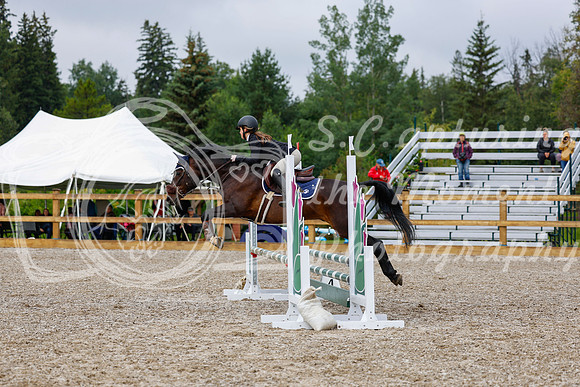 2025 - Haylee - Picco Horse Show - Sunday July 27th 01099