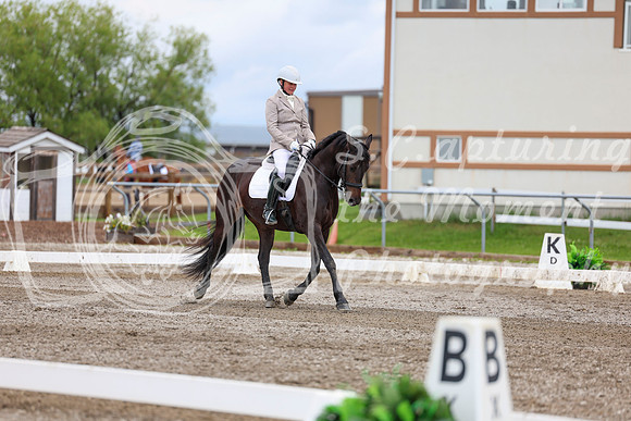 2025 - Dressage Festival - Sunday July 6th - 10443