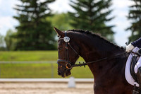2025 - Dressage Festival - Saturday July 5th - 14742