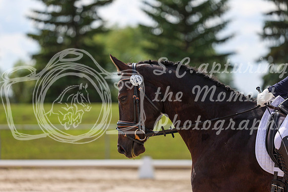 2025 - Dressage Festival - Saturday July 5th - 14742