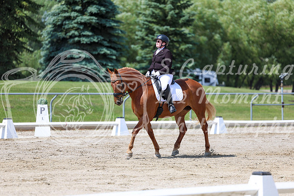 2025 - Dressage Festival - Saturday July 5th - 09322