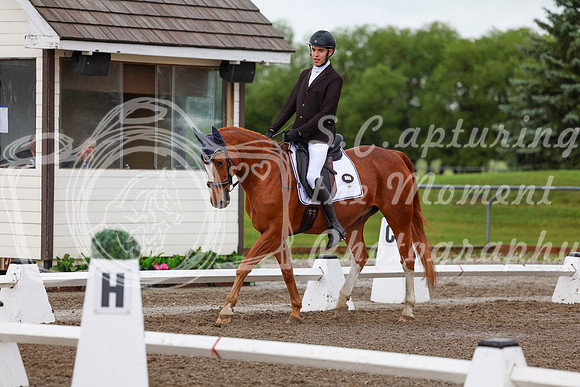 2025 - Dressage Festival - Sunday July 6th - 01344