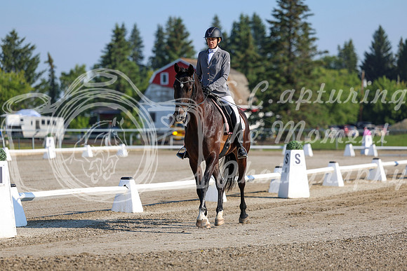 2025 - Dressage Festival - Saturday July 5th - 00105