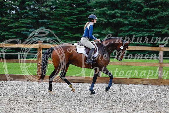 2025 - Haylee - Picco Horse Show - Saturday July 26th 00356