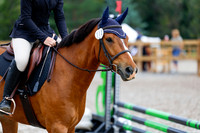 2025 - Haylee - Picco Horse Show - Saturday July 26th 01109