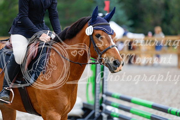 2025 - Haylee - Picco Horse Show - Saturday July 26th 01109