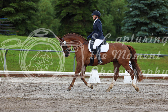 2025 - Dressage Festival - Sunday July 6th - 05309
