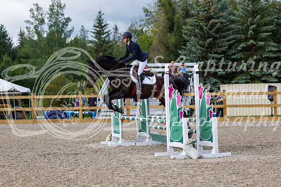 2025 - Haylee - Picco Horse Show - Sunday July 27th 02854