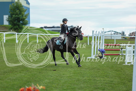 2025 - Shea - Teesdale - Saturday July 26th - 03214