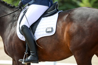 2025 - Dressage Festival - Saturday July 5th - 07482