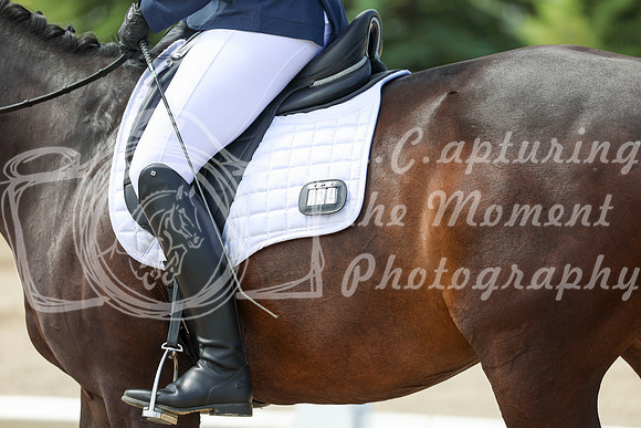 2025 - Dressage Festival - Saturday July 5th - 07482