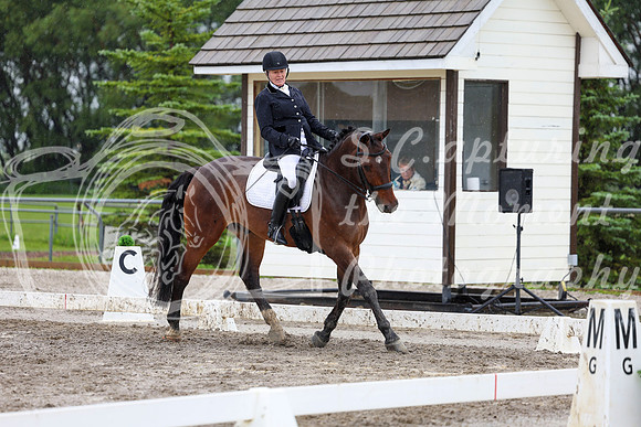 2025 - Dressage Festival - Sunday July 6th - 08769