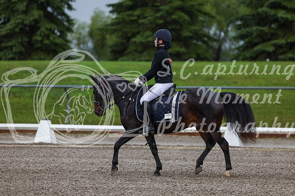 2025 - Dressage Festival - Sunday July 6th - 00017