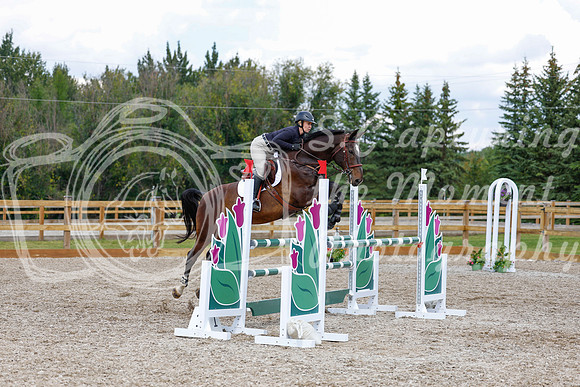 2025 - Haylee - Picco Horse Show - Saturday July 26th 07593
