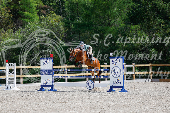 2025 - Haylee - Picco Horse Show - Thursday July 24th 04370
