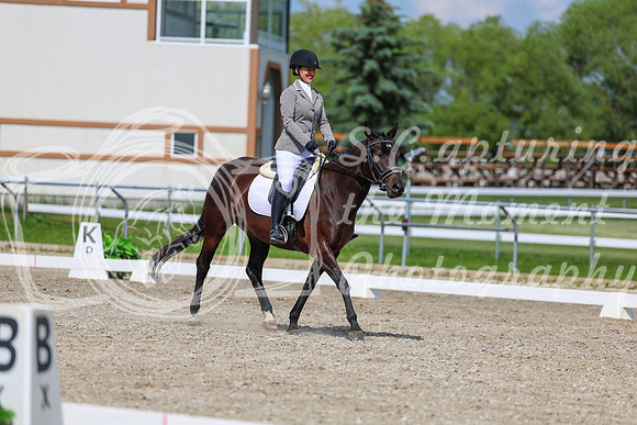 2025 - Dressage Festival - Saturday July 5th - 14546