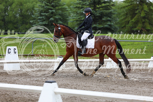 2025 - Dressage Festival - Sunday July 6th - 07820