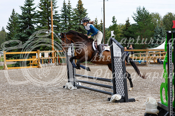 2025 - Haylee - Picco Horse Show - Saturday July 26th 00374