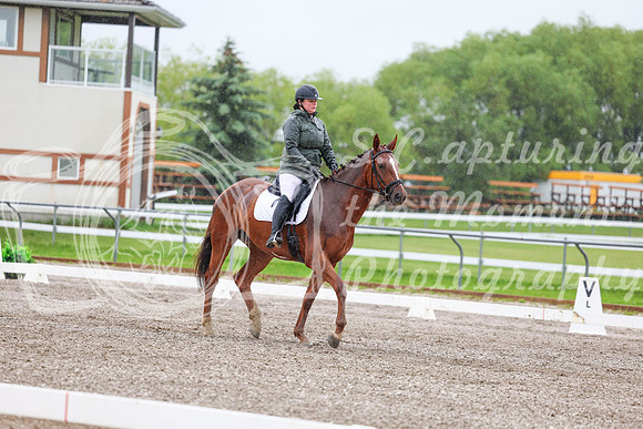 2025 - Dressage Festival - Sunday July 6th - 03573