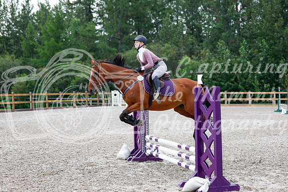 2025 - Haylee - Picco Horse Show - Saturday July 26th 00942