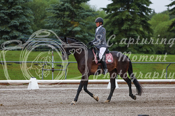 2025 - Dressage Festival - Sunday July 6th - 00617
