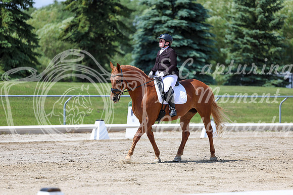 2025 - Dressage Festival - Saturday July 5th - 09326