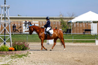 2025 - Dressage Festival - Saturday July 5th - 04746