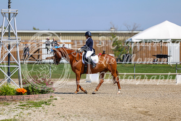 2025 - Dressage Festival - Saturday July 5th - 04746