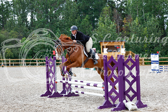2025 - Haylee - Picco Horse Show - Saturday July 26th 02640