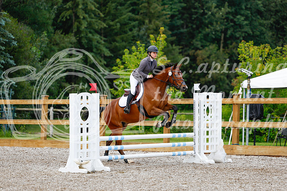 2025 - Haylee - Picco Horse Show - Sunday July 27th 01837