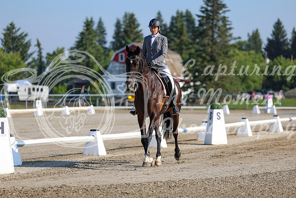 2025 - Dressage Festival - Saturday July 5th - 00106