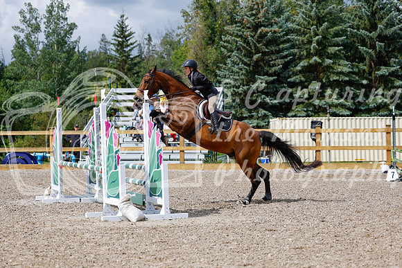 2025 - Haylee - Picco Horse Show - Sunday July 27th 02720