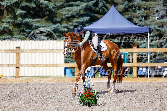 2025 - Haylee - Picco Horse Show - Thursday July 24th 01264