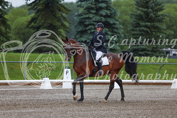 2025 - Dressage Festival - Sunday July 6th - 00353