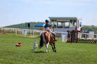 2025 - Shea - Teesdale - Thursday July 24th - 01907