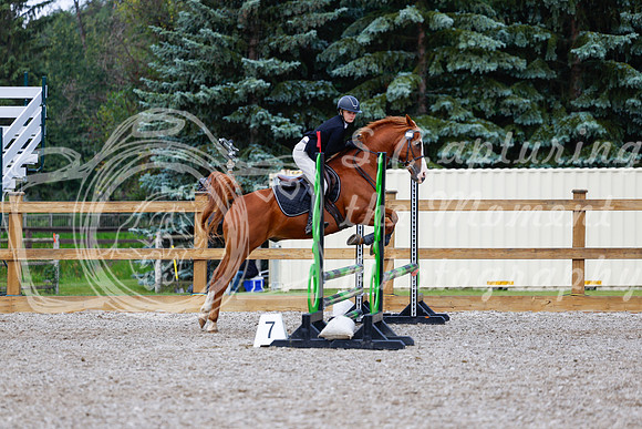 2025 - Haylee - Picco Horse Show - Sunday July 27th 02179