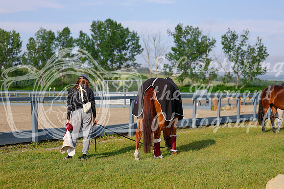 2025 - Haylee - June Classic I - Friday June 13th - 01731