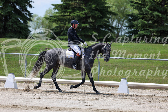 2025 - Dressage Festival - Saturday July 5th - 08996