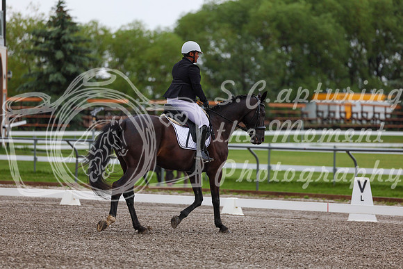 2025 - Dressage Festival - Sunday July 6th - 01279