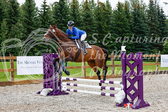 2025 - Haylee - Picco Horse Show - Sunday July 27th 01777