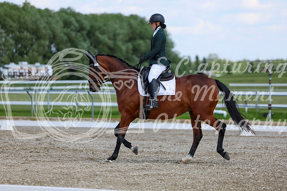 2025 - Dressage Festival - Saturday July 5th - 09497