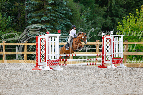 2025 - Haylee - Picco Horse Show - Friay July 25th 01656